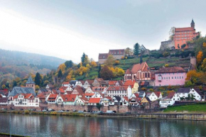 Neckarblick,Natur, Altstadt Hirschhorn